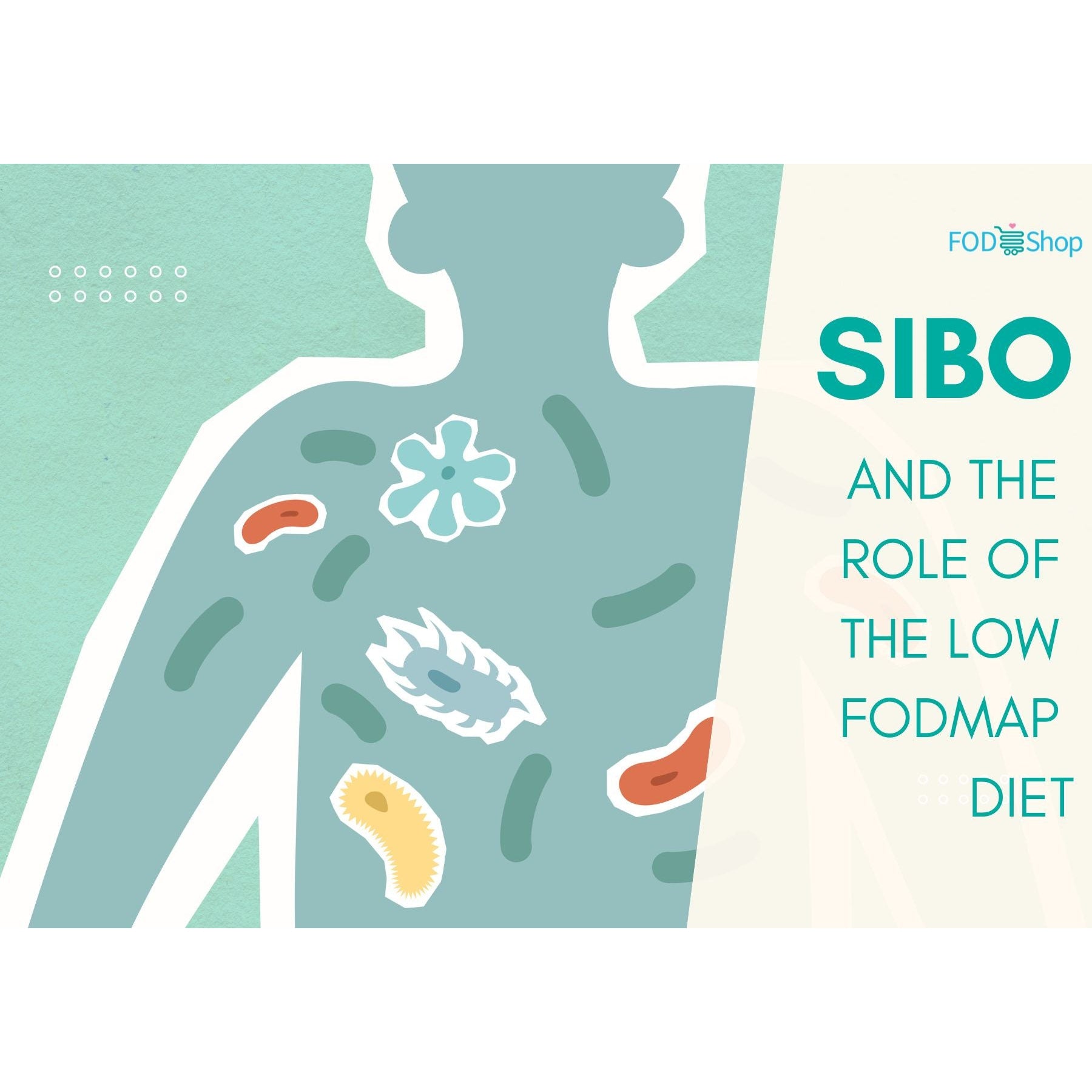 SIBO and the Role of the Low FODMAP Diet