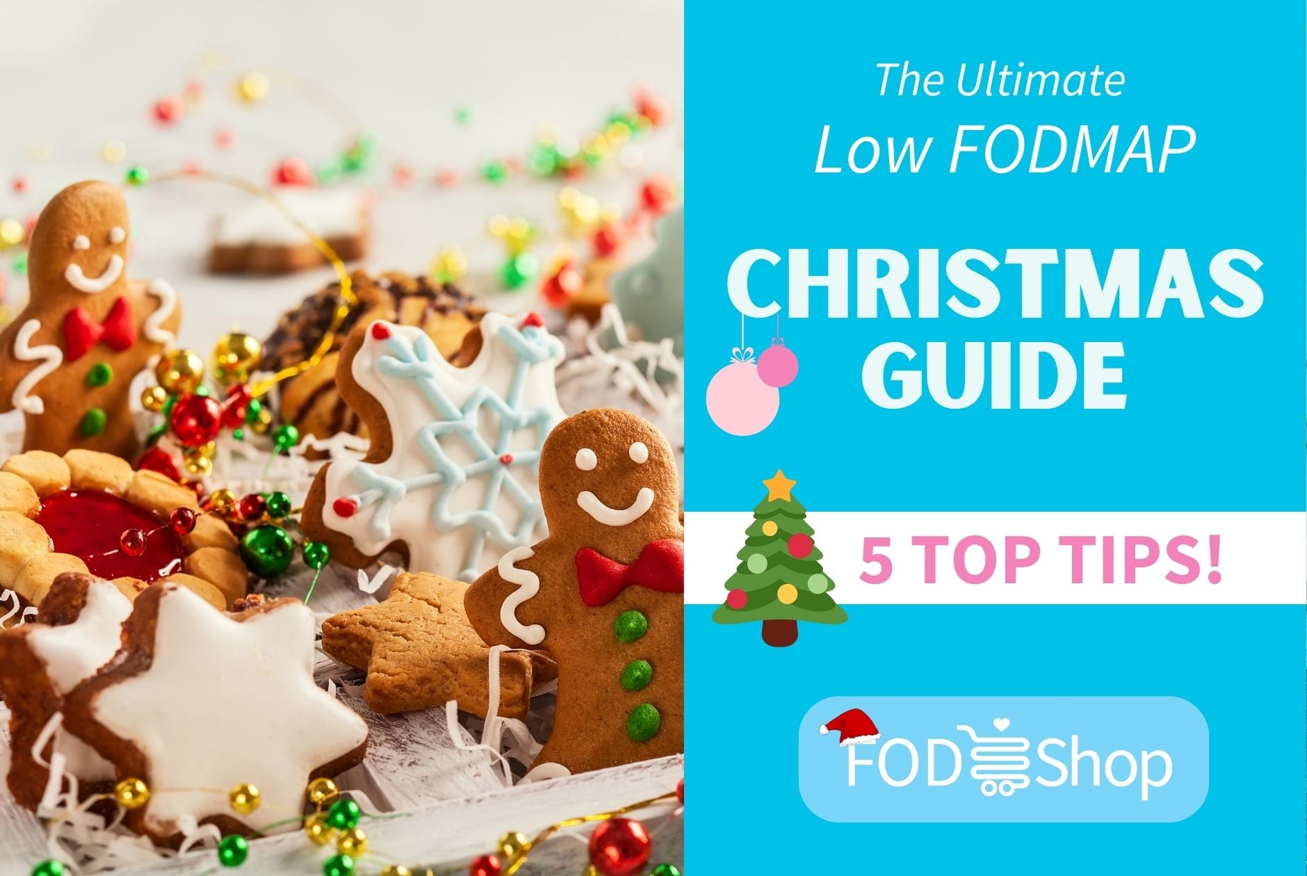 The Ultimate Low FODMAP Christmas Survival Guide!