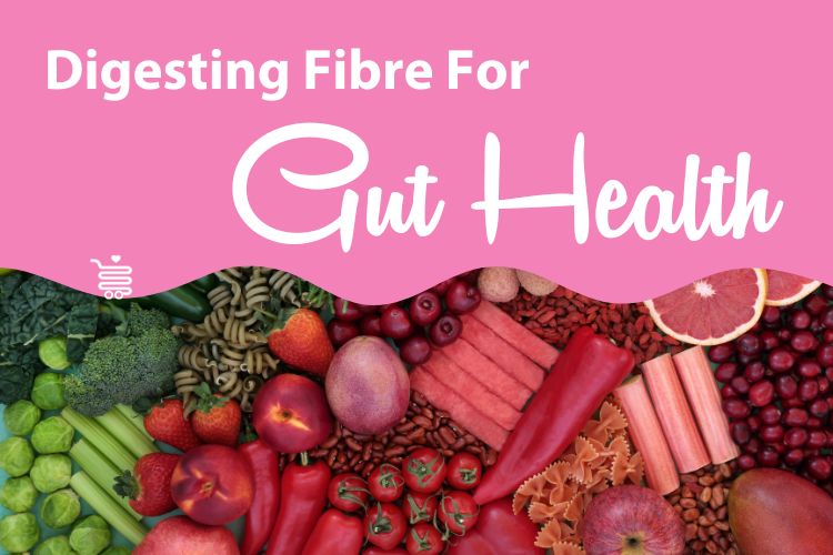The Importance of Dietary Fibre for Gut Health 💩