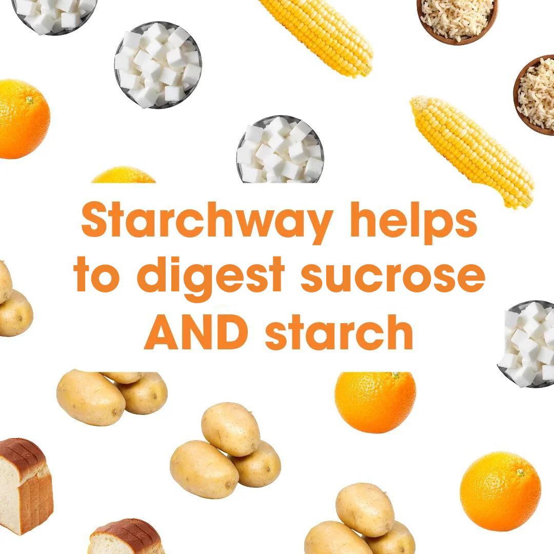 Intoleran Starchway (5 capsules, Trial Pack)