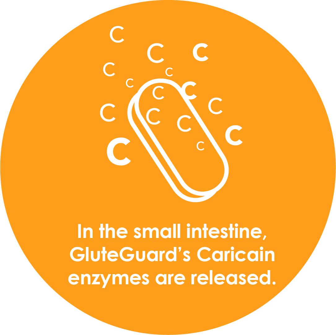 GluteGuard 30 Tablet Blister Pack