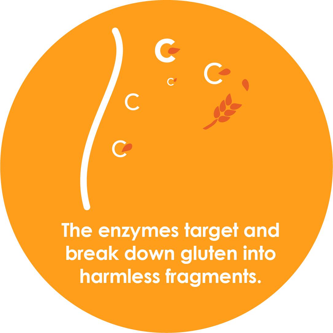 GluteGuard 30 Tablet Blister Pack