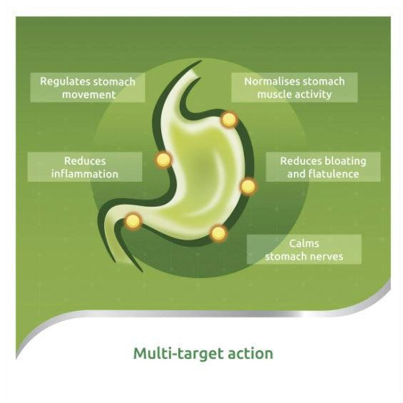 Flordis Iberogast (100ml)-Vitamins & Supplements-Foods ﻿Online Australia | FodShop