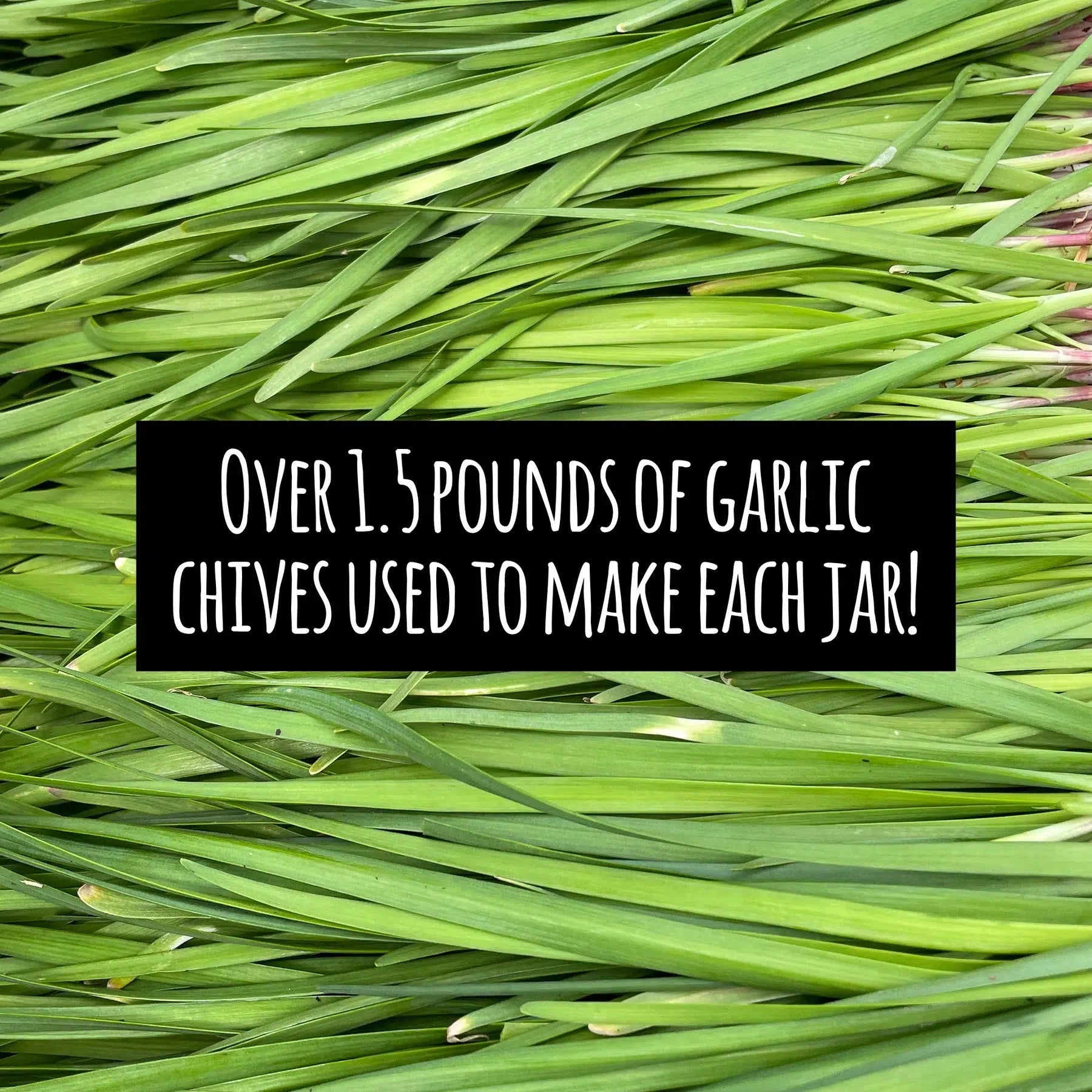 Gourmend Foods Low FODMAP Garlic Chive Powder (40g)-Seasonings & Spices-Foods ﻿Online Australia | FodShop